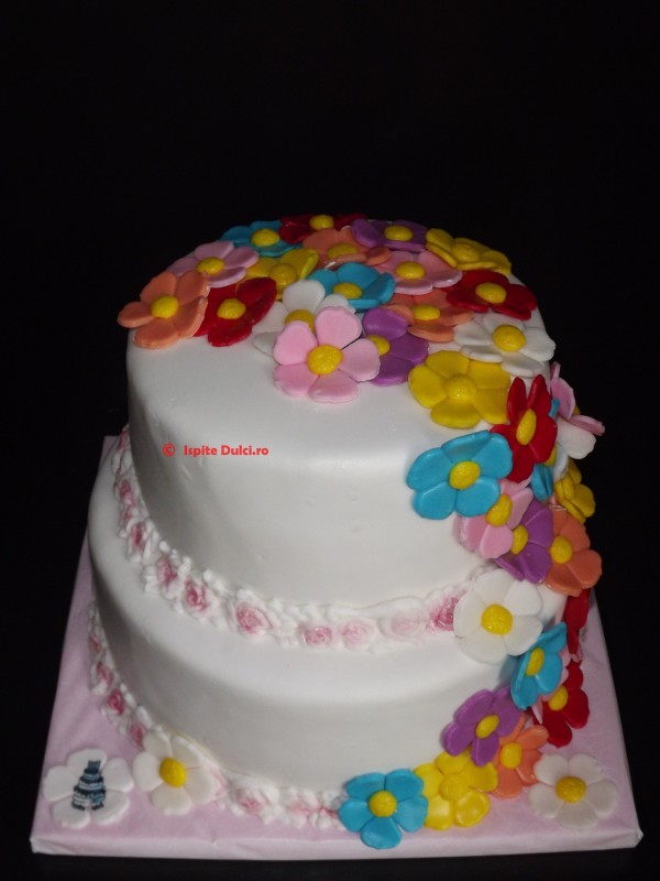 DSCF6153