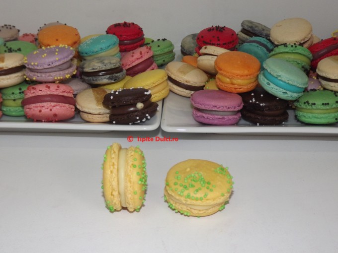 DSCF1229